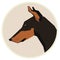 Dog collection Doberman Geometric style icon round