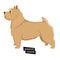 Dog collection Norwich Terrier Geometric style