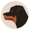 Dog collection Rottweiler Geometric style Avatar icon round