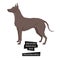 Dog collection Xoloitzcuintli Geometric style Isolated object
