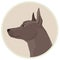 Dog collection Xoloitzcuintli Mexican Hairless Dog Geometric style Avatar icon round