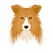 Dog, Collie breed, Scottish Shepherd. Muzzle Collie single icon in cartoon style vector symbol stock illustration web.