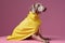 dog colourful latex concept animal fashion art pet stylish funny. Generative AI.