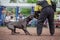 Dog competition, police dog training, dogs sport