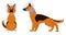 Dog cone, cartoon dog with elizabethan collar