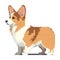 dog corgi breeds pixel art vector illustration