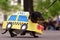 Dog in costume during Dachshund parade