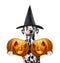 Dog in a costume with two halloweens pumpkins