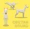 Dog Cretan Hound Cartoon Vector Illustration