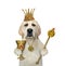 Dog in crown with goblet and scepter