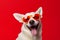 dog cute background  portrait funny stylish pet animal sunglasses smile. Generative AI.