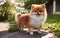 dog cute loveable animal, mammal fluffy