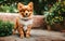 dog cute loveable gorgeous puppy doggy outdoors