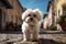 dog Cute Maltese standing gracefully on a charming cobblestone street