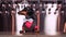 Dog dachshund bartender, black and tan, in a bow tie and a suit at the bar counter  looking to the left and right, waiting for