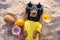 Dog of dachshund, black and tan, in a yellow t-shirt, buried in the sand at the beach sea on summer vacation holidays, wearing sta