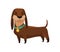 Dog dachshund. Cute funny character portrait. Short-legged pet with long body is standing on four. Adorable cartoon