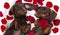 Dog dachshund and red roses