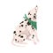 Dog of Dalmatian breed. Cute bicolor doggy with black spots on hair, coat. Purebred canine animal. Spotty dalmation pet
