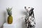 Dog dalmatian on hind legs and pineapple on a white background.