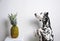 Dog dalmatian on hind legs and pineapple on a white background.