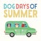 Dog days of summer