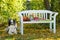 Dog with decorated garden bench in the autumn garden