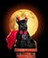 Dog in devil halloween costume sitting on chimney
