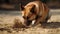 A dog digging in the sand its paws kicking up sand as it buries a bone created with Generative AI