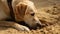 A dog digging in the sand its paws kicking up sand as it buries a bone created with Generative AI