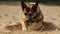 A dog digging in the sand its paws kicking up sand as it buries a bone created with Generative AI