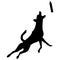 Dog diving sport EPS vector file