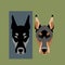 Dog doberman face vector illustration flat style