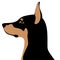 Dog doberman head vector illustration style flat