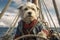 a dog dressed as an athlete yachtsman