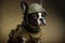 Dog dressed as soldier, created with Generative AI technology