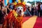 a dog dressed in colorful costume in the carnival brazilian