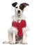 Dog dressed in red Christmas outfit