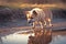 Dog drinking out of water puddle. Concept for Leptospirosis bacteria danger. Generative ai