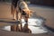 Dog drinking out of water puddle. Concept for Leptospirosis bacteria danger. Generative ai