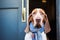 dog with droopy ears wearing a blue scarf sitting by a closed office door