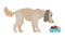 Dog Eating Food From Bowl Isolated Cartoon Canine