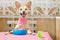 Dog eating a the table with food bowl