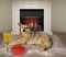 Dog eats red caviar near fireplace