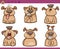 Dog emotions cartoon illustration set