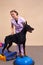 Dog is engaged fitness on massage and physiotherapy carpet. Training device for rehabilitation exercising in the