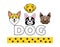 Dog faces icon. Bulldog, corgi, labrador, yorkie