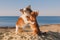 Dog family of two small chihuahua pet hugging each other with mother and baby love embrace on sea sand beach in sunny California