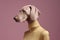 dog fashion latex stylish art animal colourful pet funny concept. Generative AI.