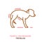 Dog fearful behavior icon